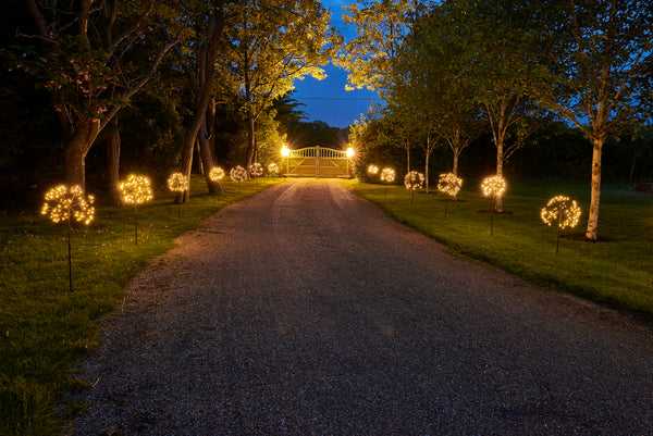 Garden Solar Stake Lights