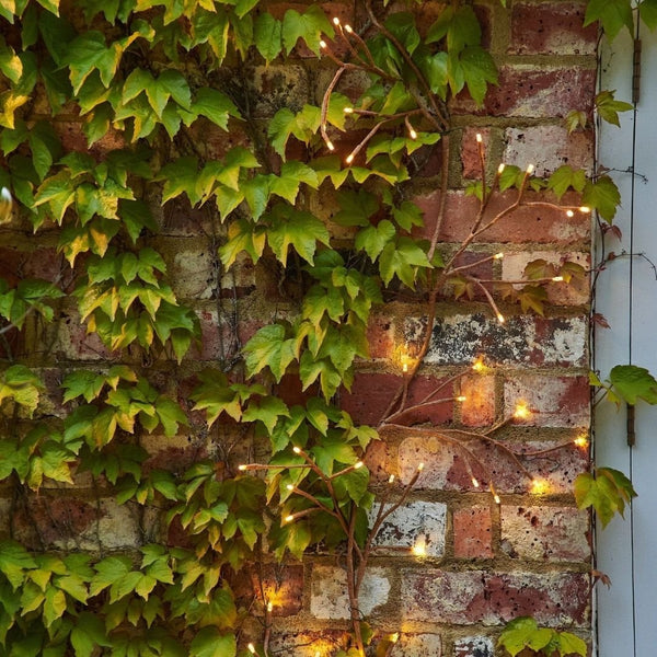 Solar Fairy Lights - sparkle.lighting