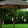 6 Bulb Spider Festoon Lights - sparkle.lighting