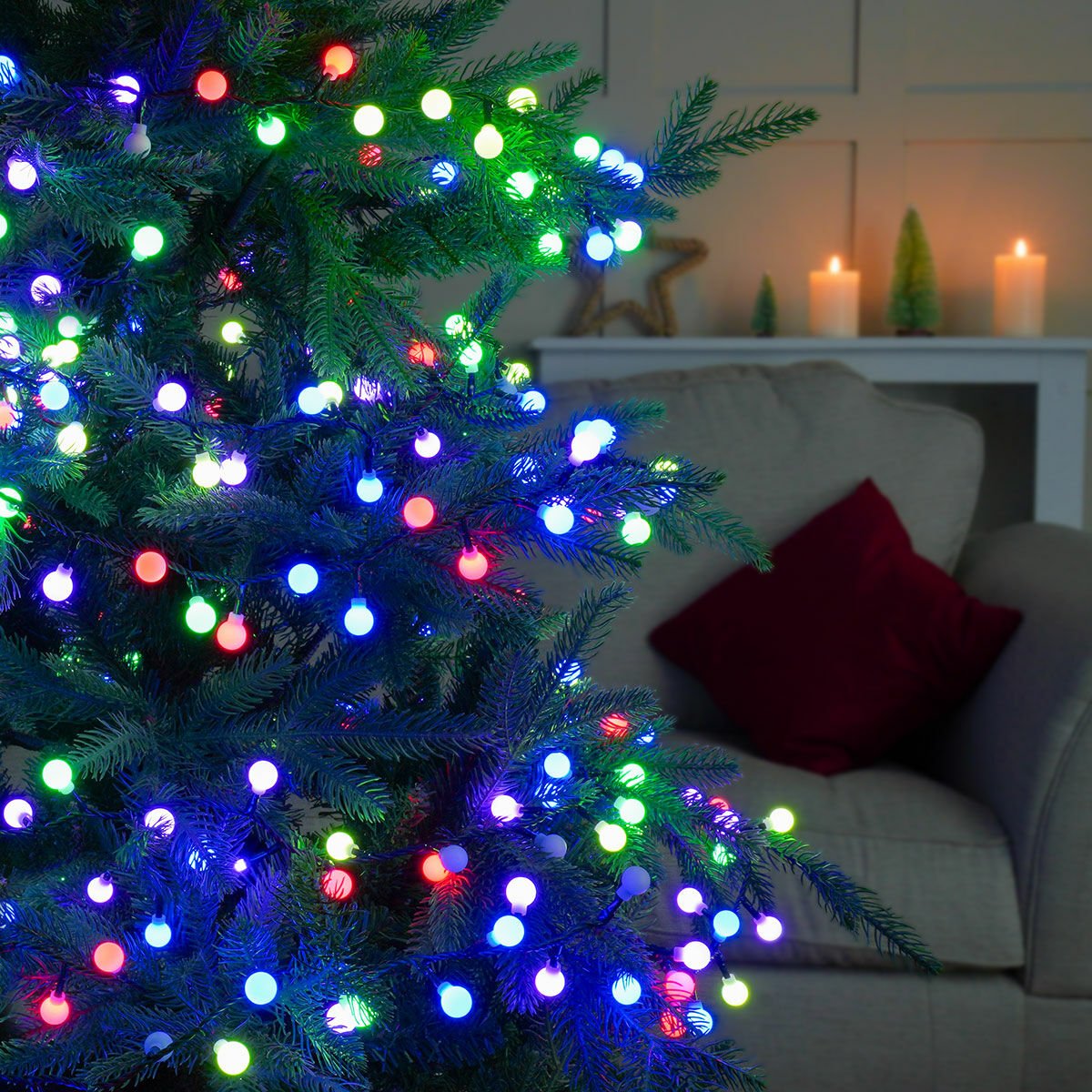 Colourful Berry Lights