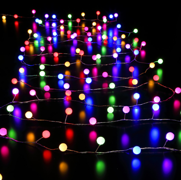 Colourful Berry Lights