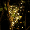 Flexi Lights - sparkle.lighting