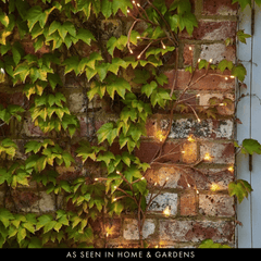 Garden Ivy Lights - Solar, & Plug - sparkle.lighting