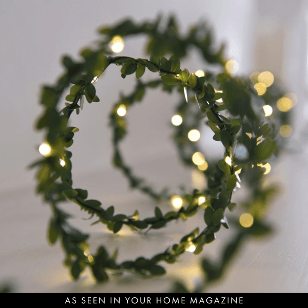 Greenery Lights - sparkle.lighting