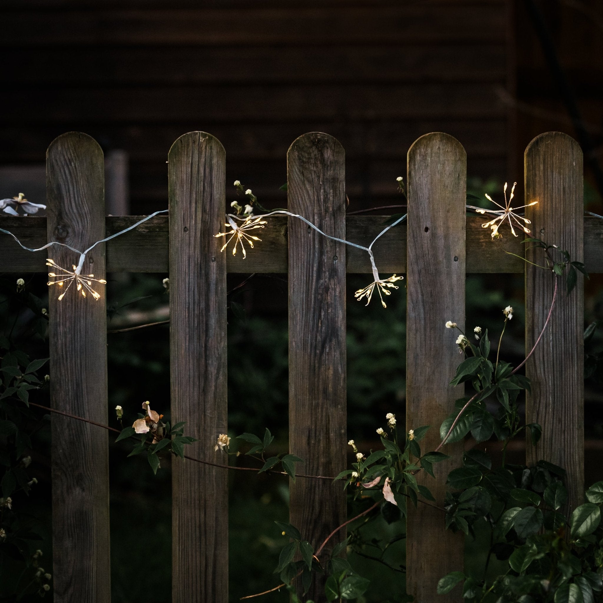 Starburst Silver Outdoor Fairy Lights - sparkle.lighting