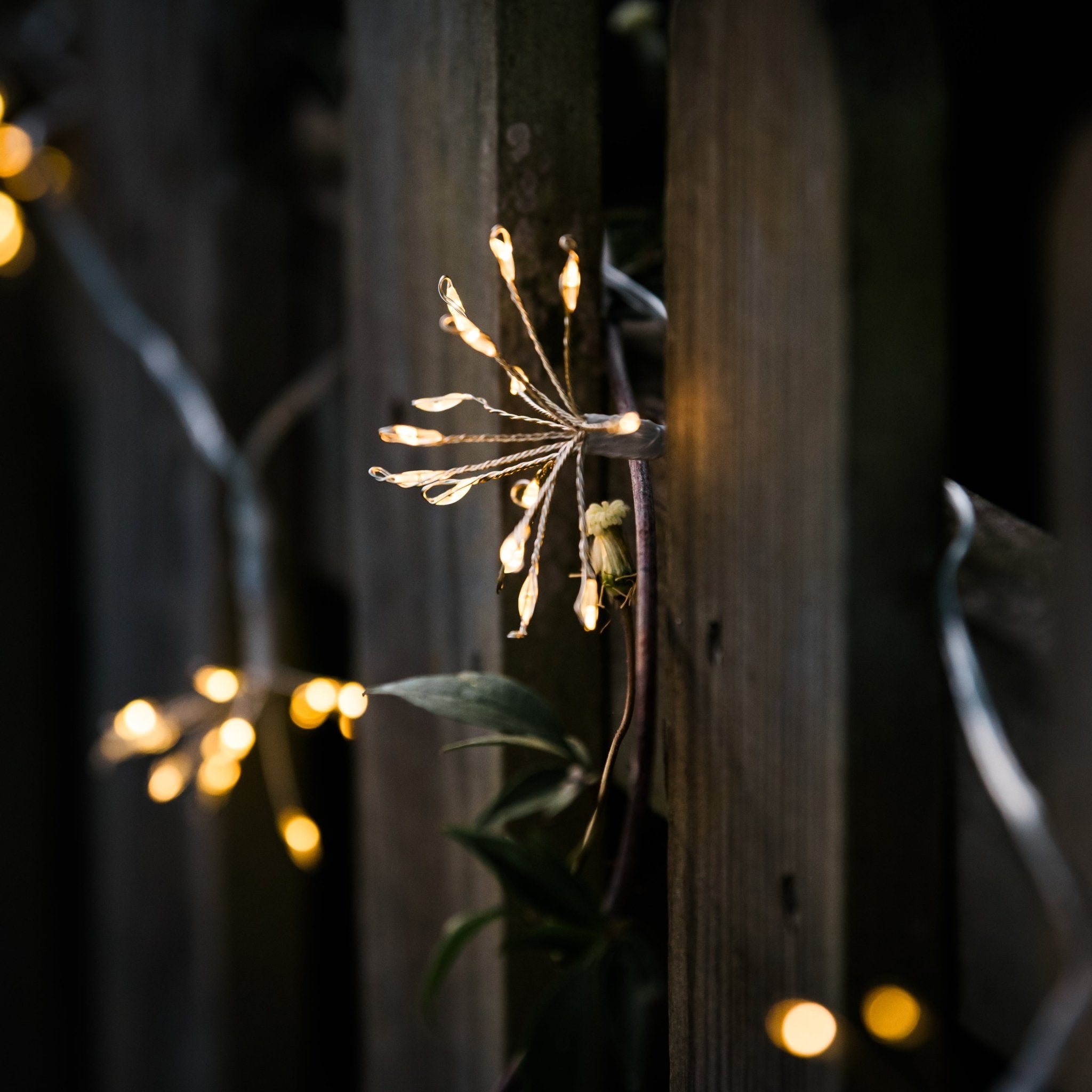 Starburst Silver Outdoor Fairy Lights - sparkle.lighting
