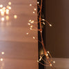 Copper Cluster Fairy Lights - sparkle.lighting