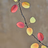 Eucalyptus Autumn Fairy Lights - sparkle.lighting