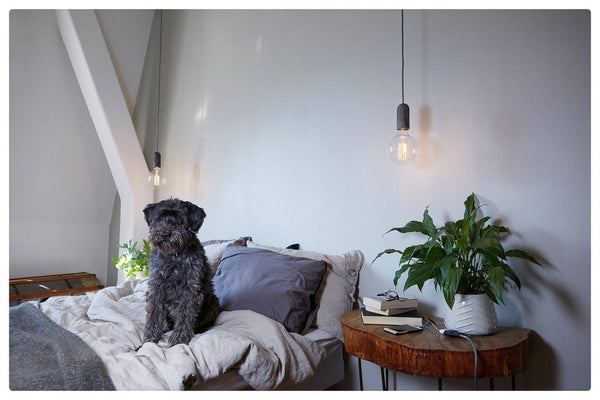Exposed bulb pendant light- Iron - sparkle.lighting