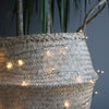 Green Wire Fairy Lights - sparkle.lighting