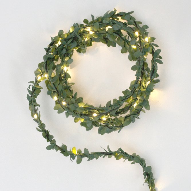 Greenery Fairy Lights - sparkle.lighting