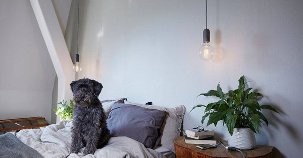 Exposed bulb lights - sparkle.lighting