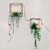 10 Battery Festoon Lights - sparkle.lighting