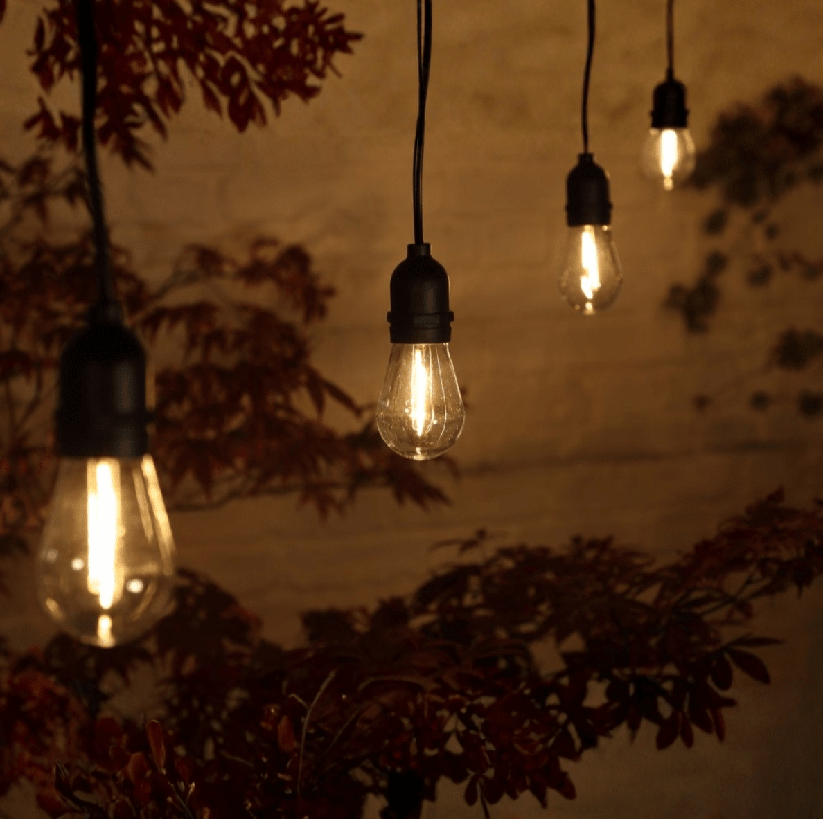 LED Drop Bulb Connectable Festoon Lights