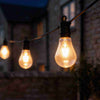 Connectable Edison Shaped Bulb Festoon Lights - sparkle.lighting