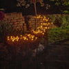 Fennel Solar Stake Lights - sparkle.lighting
