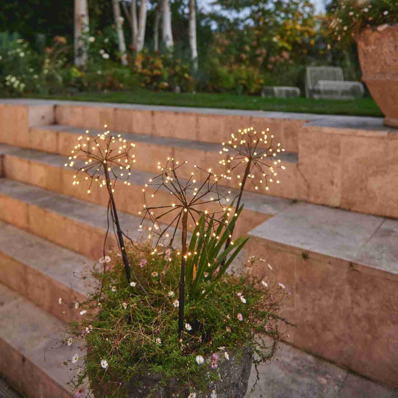 Mini Dandelion (Brown Finish) - sparkle.lighting