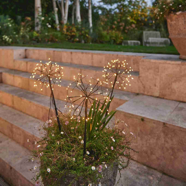 Mini Dandelion (Brown Finish) - sparkle.lighting