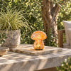 Orange & Pink Mushroom Lamps - sparkle.lighting
