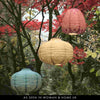 Solar Garden Lanterns - sparkle.lighting