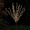 Willow Solar Stake Lights - sparkle.lighting