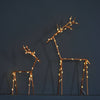 Christmas Deer With Lights - sparkle.lighting