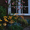 Fennel Branch Solar Light - sparkle.lighting