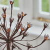 Fennel Solar Stake Lights - sparkle.lighting