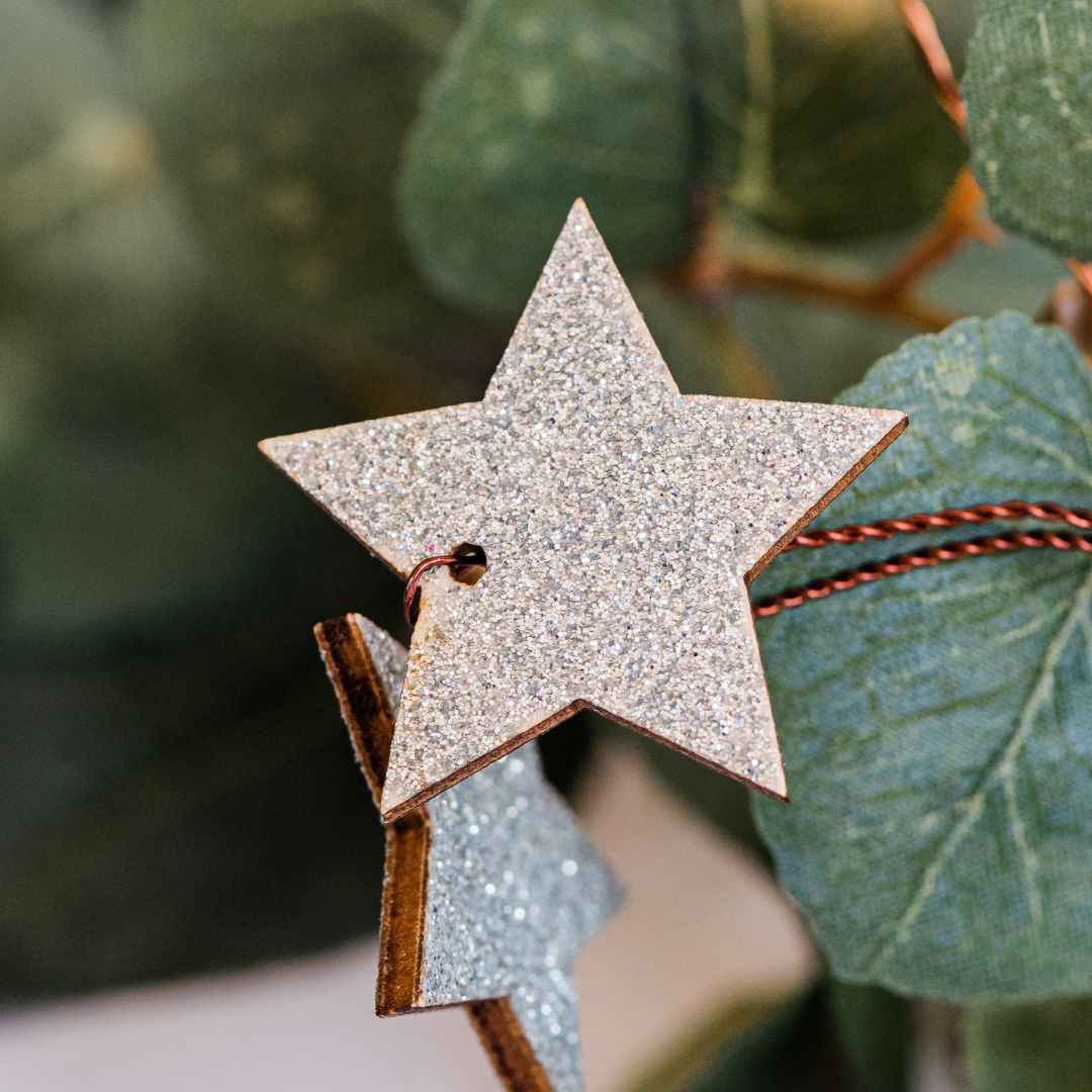 Glittery Star Fairy Lights - sparkle.lighting