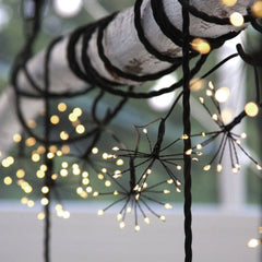 Starburst Black Fairy Lights - sparkle.lighting