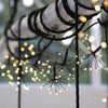 Starburst Black Fairy Lights - sparkle.lighting