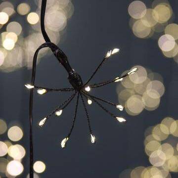 Starburst Black Fairy Lights - sparkle.lighting